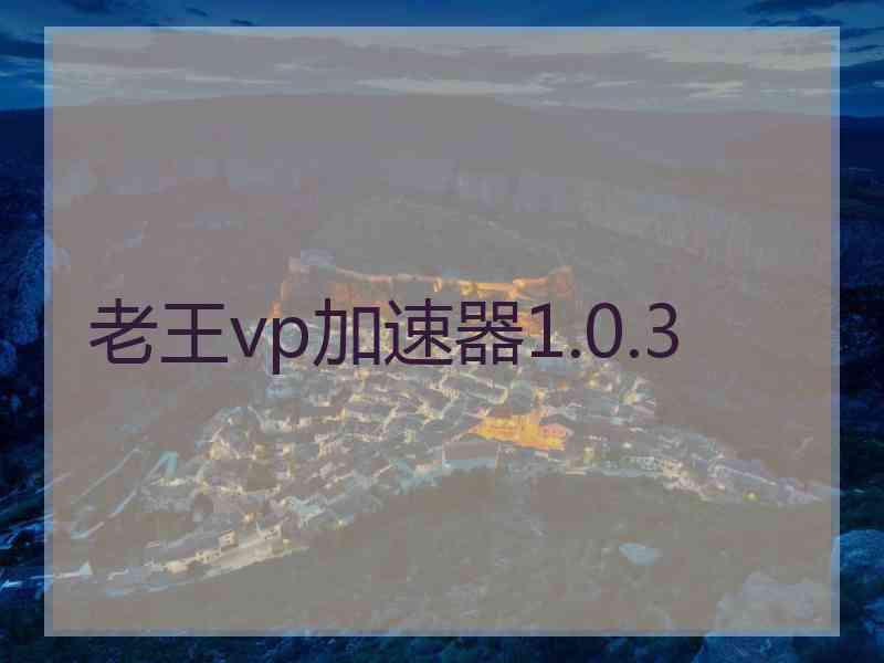 老王vp加速器1.0.3