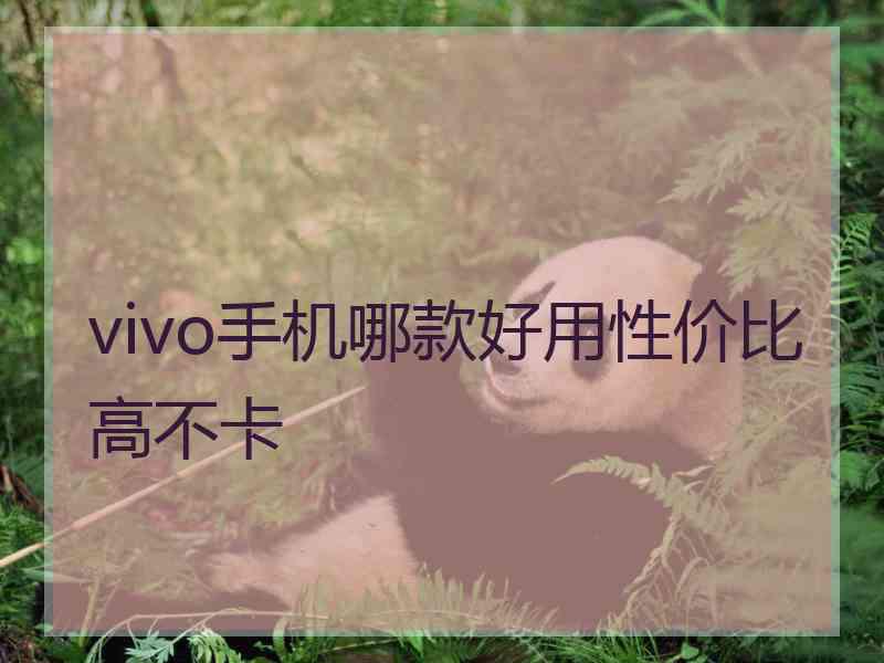 vivo手机哪款好用性价比高不卡