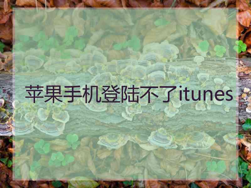 苹果手机登陆不了itunes