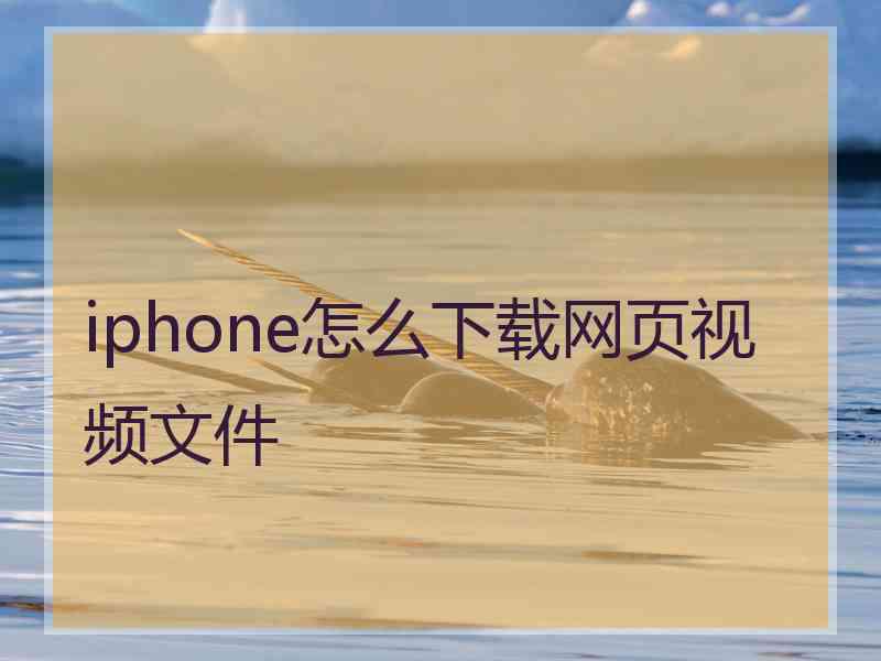 iphone怎么下载网页视频文件