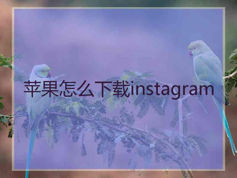 苹果怎么下载instagram