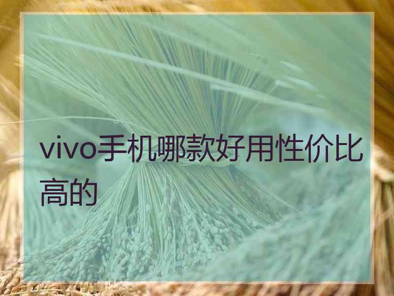 vivo手机哪款好用性价比高的