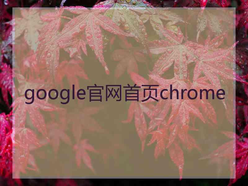 google官网首页chrome