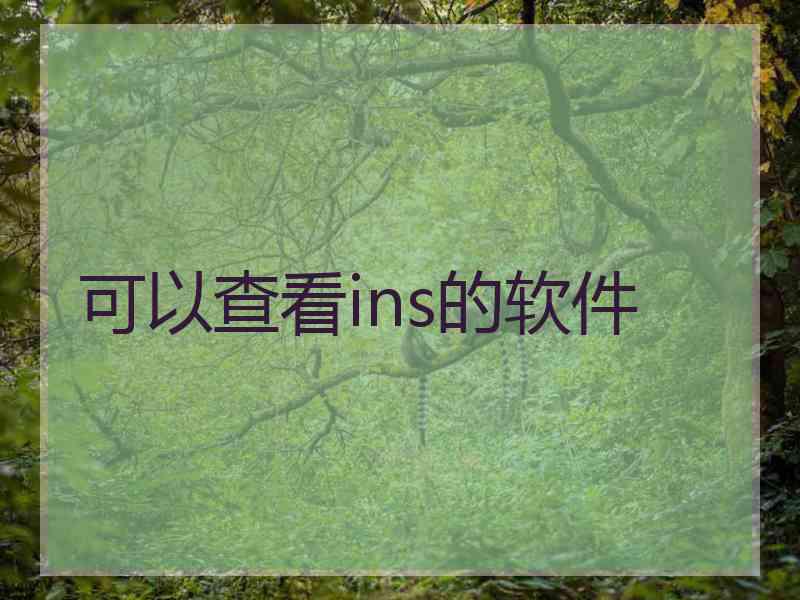 可以查看ins的软件