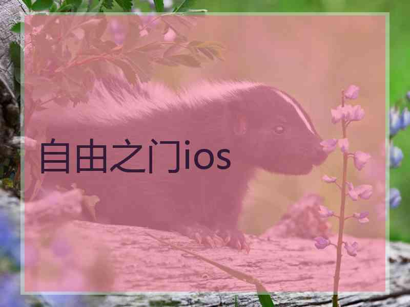 自由之门ios