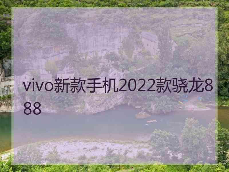 vivo新款手机2022款骁龙888