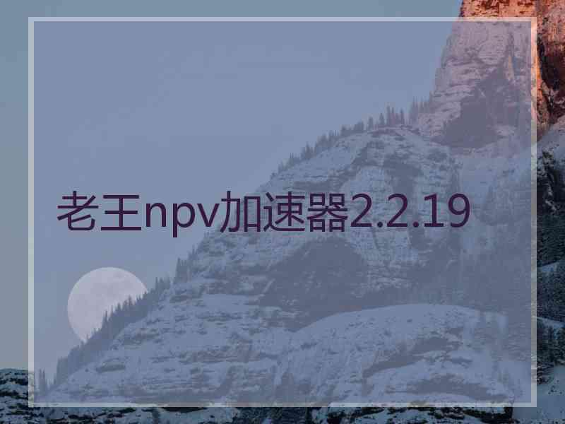 老王npv加速器2.2.19