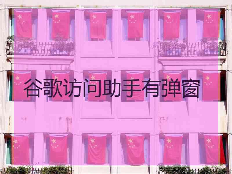 谷歌访问助手有弹窗